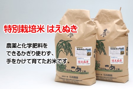 石垣農園の特別栽培米 はえぬき 10kg 令和7年産 2025年産 ブランド米 山形県コシヒカリの原点、亀の尾発祥の地 庄内