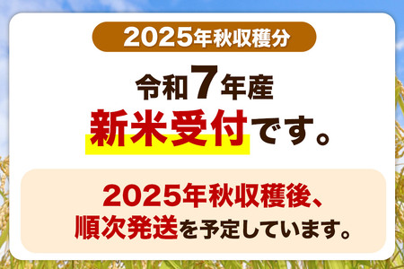 《令和7年産 新米受付》《定期便12ヶ月》 あきたこまち 10kg(5kg×2袋) 【無洗米】秋田県産 こまちライン