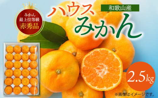 G6029_紀州和歌山 ハウスみかん 2.5kg 赤秀品