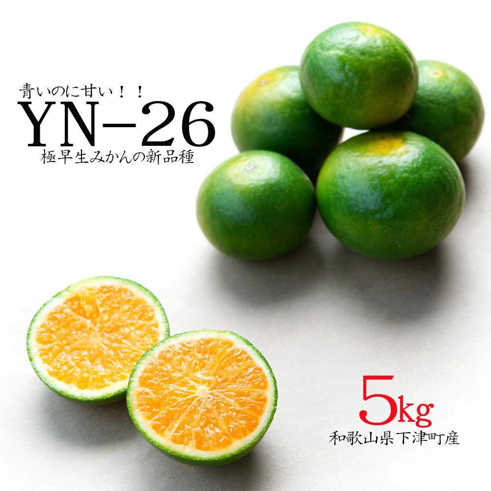 【ふるさと納税】極早生みかん YN26 約5kg 2S-3S 《ご家庭用》 和歌山県産 農園直送 まごころ産直みかん 【9月中旬よりお届け】【北海道・沖縄県・一部離島 配送不可】 小玉 小粒 訳あり わけあり［Mg35］ | フルーツ 果物 食品 人気 おすすめ 送料無料