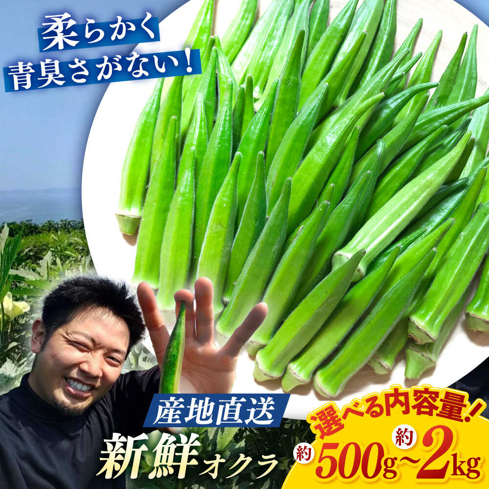 【ふるさと納税】【6月上旬より順次発送】【朝採れ旬野菜】 オクラ 約500g~約2kg ＜パッパラパー農園＞ [CFI001] おくら 野菜 夏野菜 新鮮 産地直送