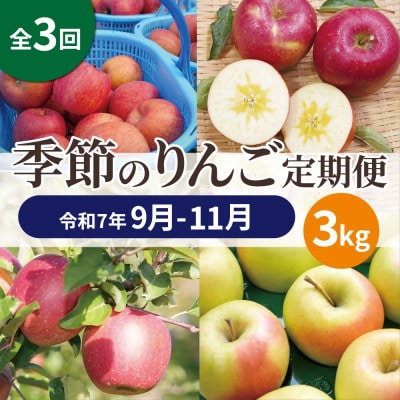 【発送月固定定期便】【25年9月〜11月】青森りんご 訳あり 品種おまかせ 3kg全3回【配送不可地域：離島・沖縄県】【4066845】