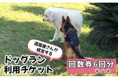 ドッグラン利用チケット　回数券6回分 ／ 愛犬 ペット 運動 カフェ 山口県 No.183