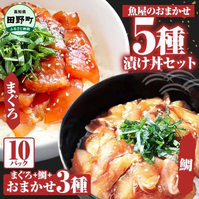 ふるさと納税 田野町 これが魚屋の漬け丼だ!魚屋のおまかせ5種漬け丼セット(鮪+鯛+おまかせ3種) 5種×2P(80g)