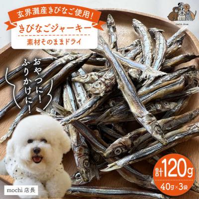 ふるさと納税 糸島市 きびなごジャーキー40g×3袋 糸島市/株式会社コバヤシ【coco.kina[ASL009]