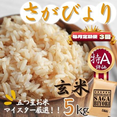 ふるさと納税 伊万里市 【毎月定期便】【玄米】さがびより5kg【特A評価】《マイスターセレクト》(伊万里市)全3回