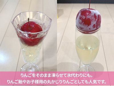 青森県鰺ヶ沢町産りんご megumi farmのぴんこ【訳あり 超小玉サンふじ】（20～30玉入） 果物類 フルーツ 産地直送 世界自然遺産りんご飴 甘口 安全 安心 