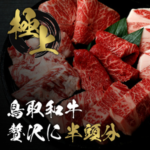 Y289 【和牛セレブ】鳥取和牛半頭分（12分割配送） 