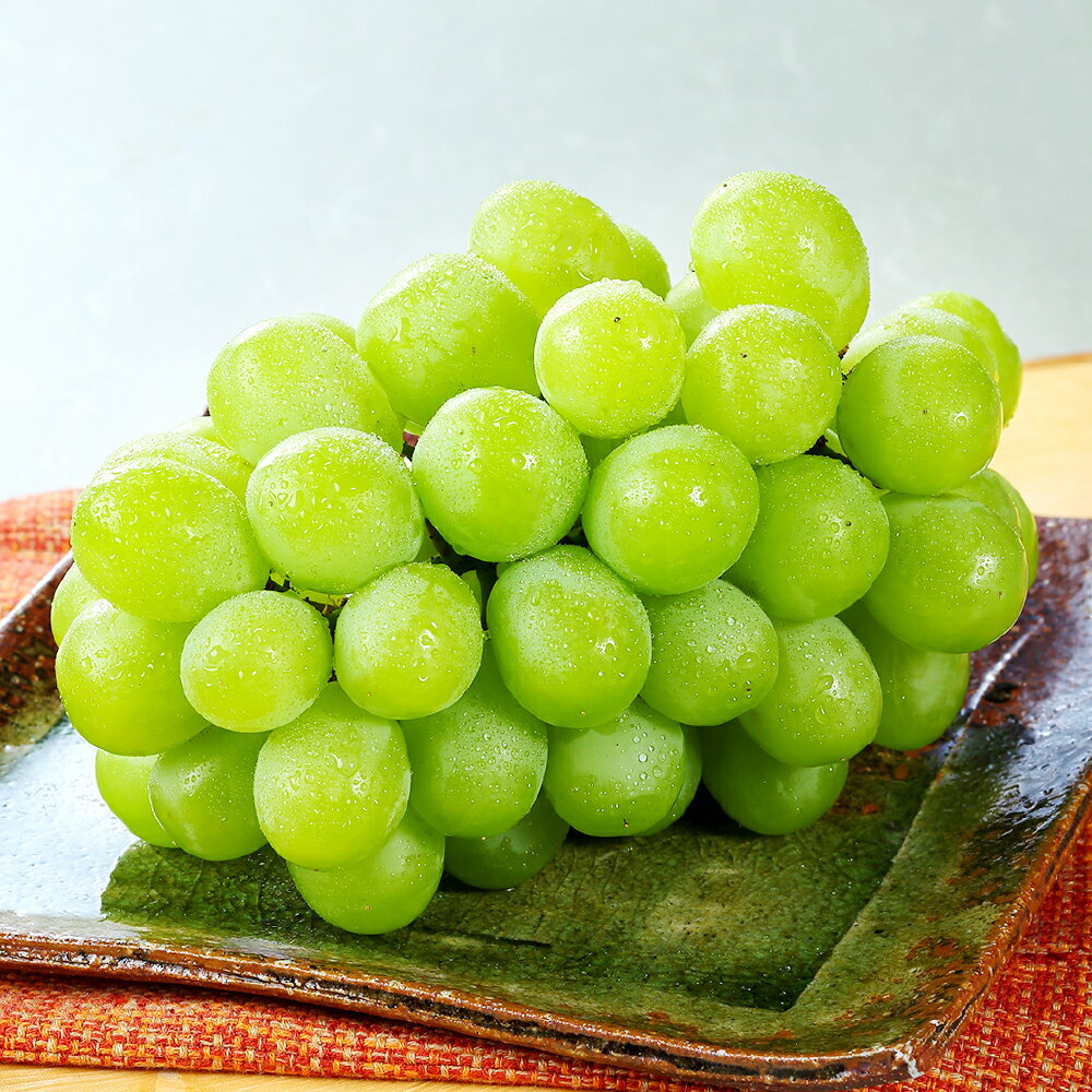 【ふるさと納税】マスカット・オブ・アレキサンドリア 2～3房（合計1.0kg以上） ぶどう ブドウ 葡萄 フルーツ 果物 果実 くだもの ギフト 贈答 冷蔵 岡山県産 国産 岡山県 倉敷市 送料無料 【2026年8月下旬～9月下旬迄順次発送予定】