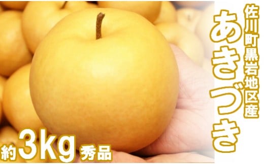 <2026年9月中旬頃より発送予定>　あきづき 梨（約３kg／4〜7玉）秋月梨　佐川町　黒岩