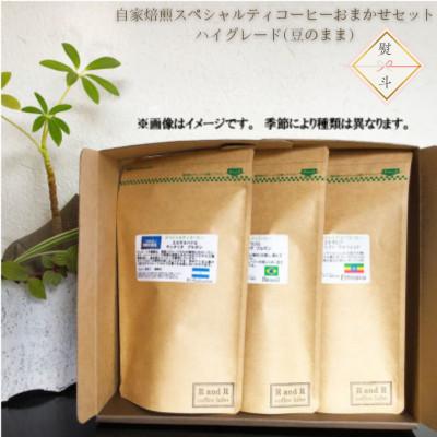 ふるさと納税 諫早市 【のし付き】自家焙煎スペシャルティコーヒーおまかせセット　ハイグレード(豆のまま)