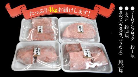 【 常陸牛 】 焼肉 ブロックセット合計 4kg（茨城県 共通返礼品 製造地：守谷市） 国産 焼き肉 牛肉 やきにく ブランド牛 肉 サーロイン キャンプ