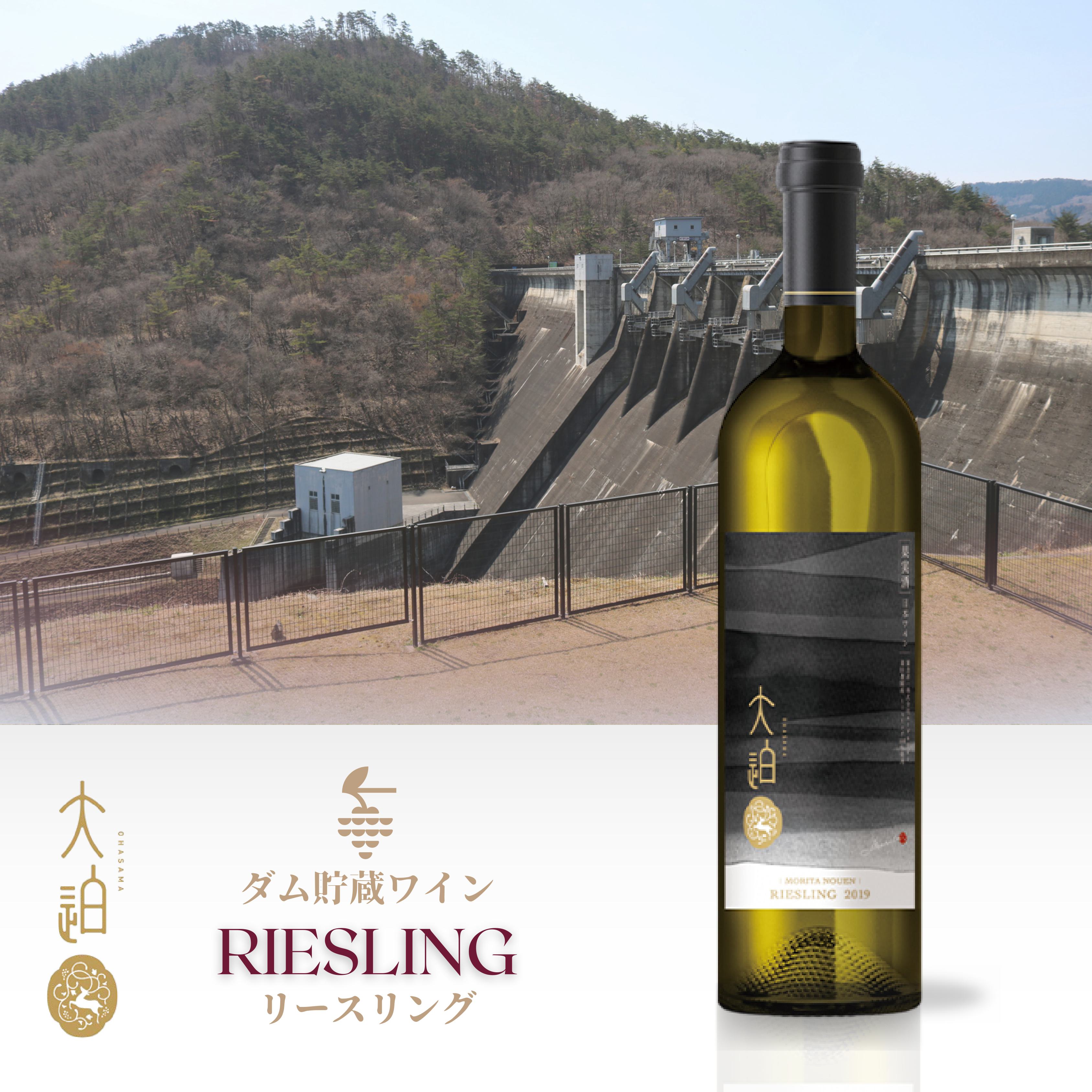 「早池峰の恵み」モリタワイン リースリング2020 ダム貯蔵ワイン 辛口　750ml×1本 【2107】
