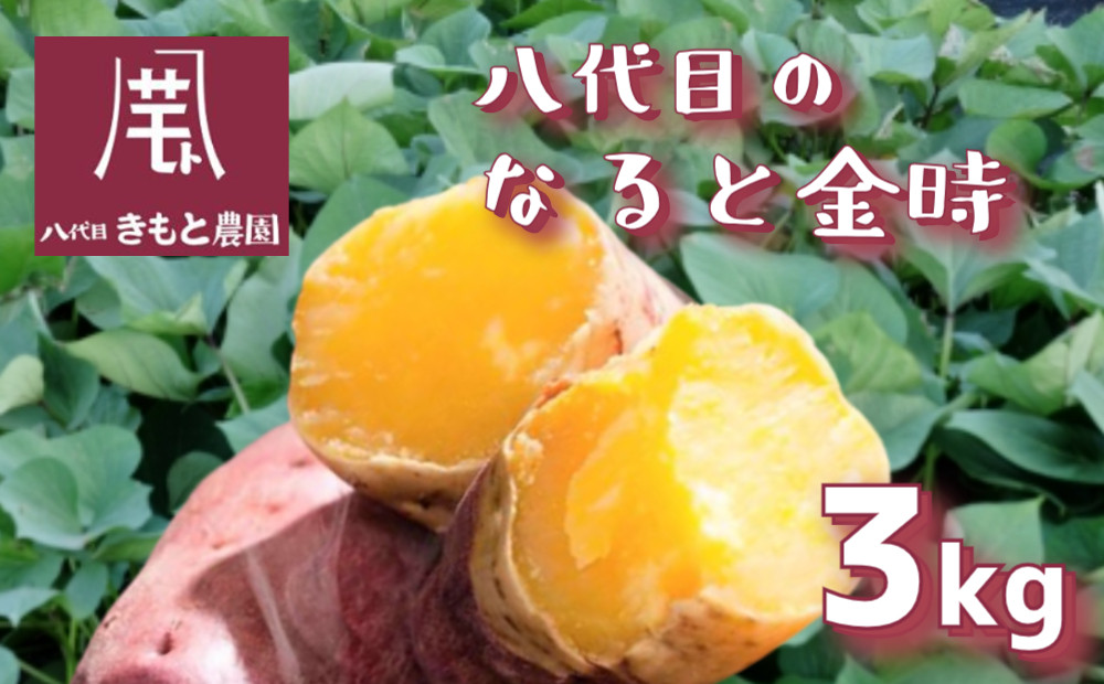 
            【木元農園】八代目の なると金時 約3kg | さつまいも 鳴門金時 熟成 国産 スイーツ 焼き芋 干し芋 味噌汁 天ぷら サラダ スープ
          