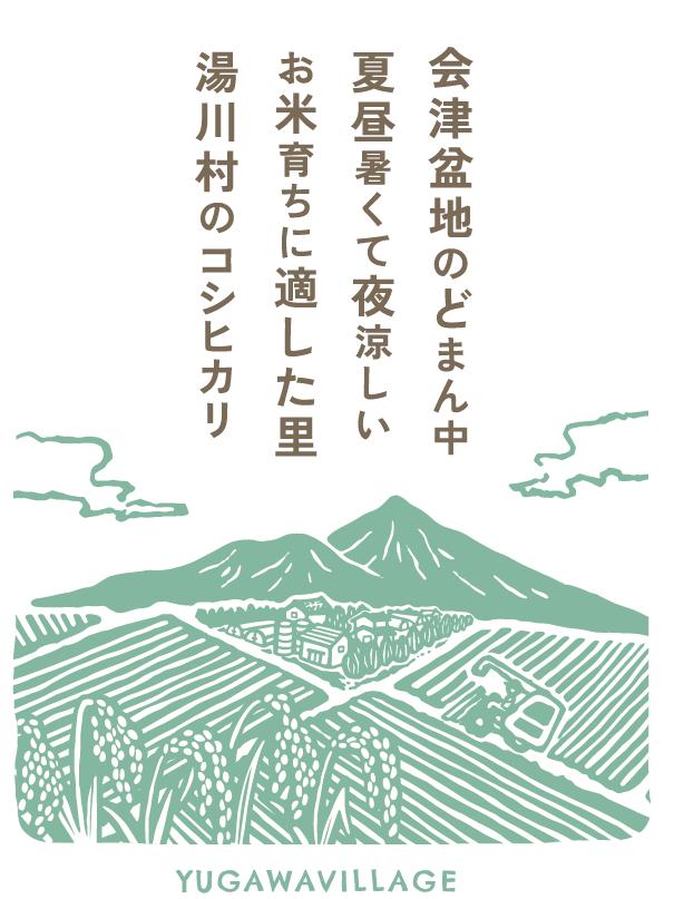 35特別栽培米　湯川村産コシヒカリ10kg精米　令和6年12月発送