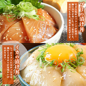 【訳あり】海鮮漬け丼5種セット 各4パック 高知県土佐市 【企業組合　宇佐もん工房】 [BQAB003]