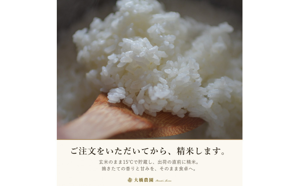 令和8年　精米ヒノヒカリ4kg