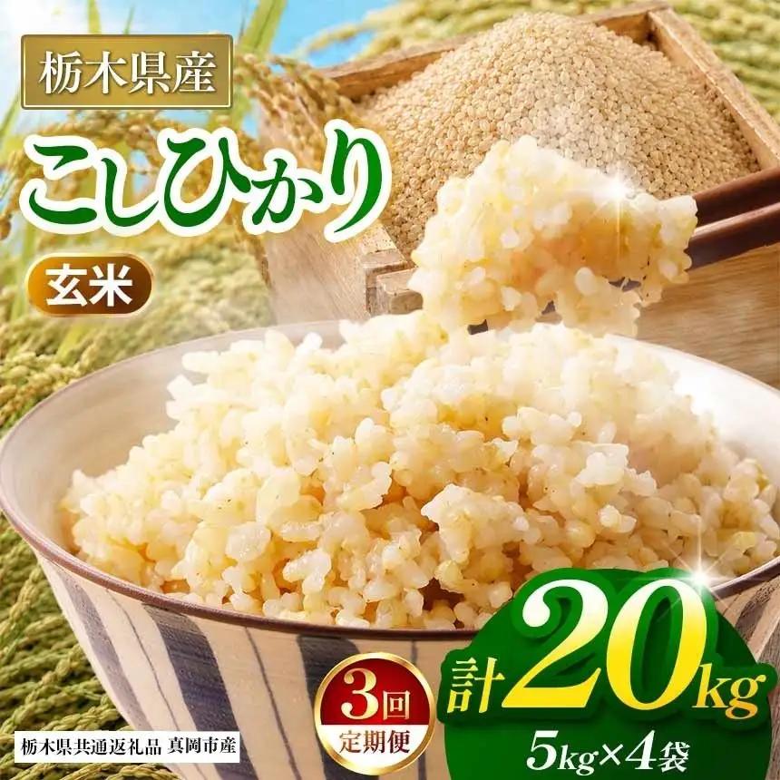 【栃木県共通返礼品】【定期３回】【令和８年度産】コシヒカリ 20kg お米 米 | 栃木県 那珂川町 送料無料