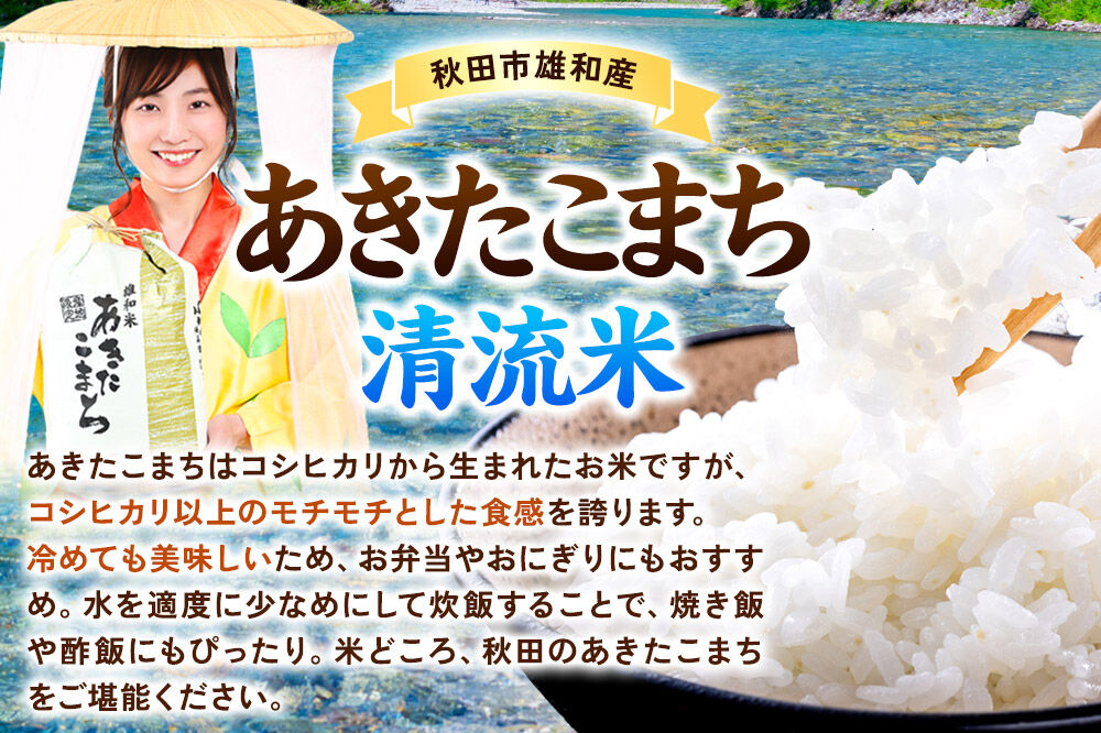 《定期便9ヶ月》あきたこまち 清流米 2kg【白米】 秋田市雄和産 [秋田県産 あきたこまち お米 精米 定期便 2kg 2キロ]