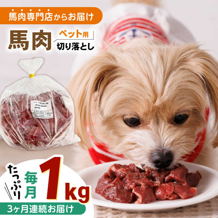 【ふるさと納税】【全3回定期便】国内加工 ペット用 馬肉 切り落とし 1kg 犬 肉 馬肉 ドッグフード ペットフード 熊本 生馬肉 生肉 健康 小型犬 大型犬 ペット 【五右衛門フーズ】[YBZ060]