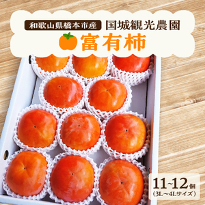 国城観光農園の富有柿11～12個(3～4L)_柿　富有柿　橋本市産柿　甘柿_【1077106】