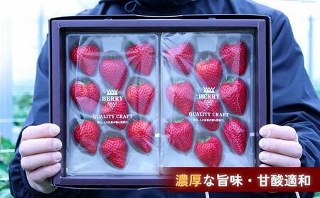 【完熟クラフト苺BERRY】有名シェフ御用達【樹上完熟よつぼし】約500g（出荷2024年12月上旬～2025年5月下旬）