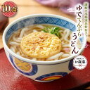 【ふるさと納税】【お歳暮ギフト】ゆで天ぷらうどん10食（1袋：麺180g×10食）讃岐の本格派具材付き！｜うどん ゆで麺