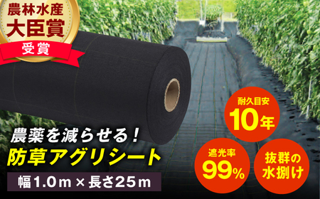 防草アグリシート（BB2218・耐久目安10年・幅1.0m×長さ25m）/ 防草シート 除草[AFCA012]