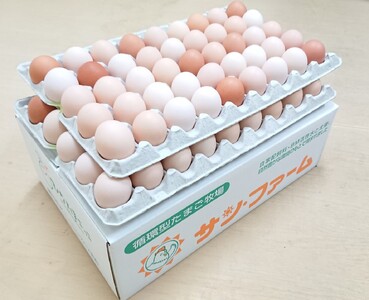卵 朝採り さくら たまご 90個（Mサイズ）卵 10個破損補償含む 鶏卵 赤鶏の卵