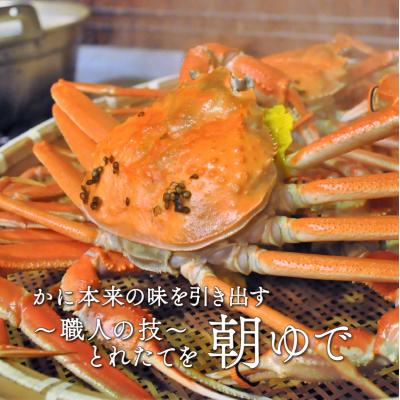 ふるさと納税 小浜市 【先行受付】【2月上旬から順次発送】朝ゆで越前ガニ1杯【約700g】 |  | 01