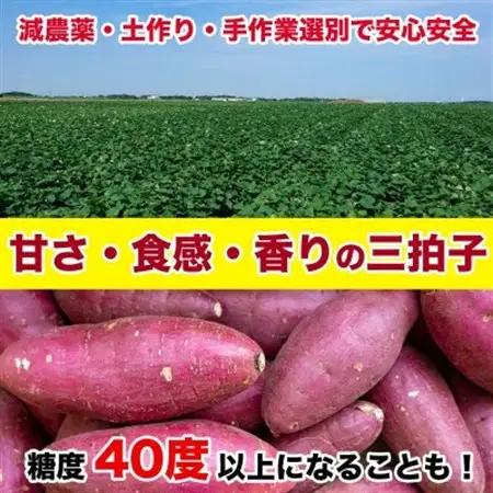 紅はるか さつまいも 約5kg(益城町)【1689367】