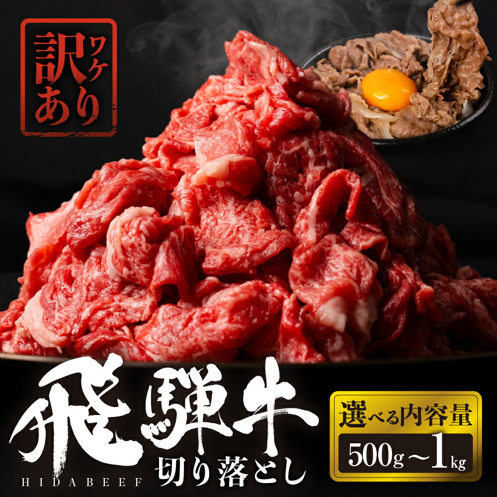 【ふるさと納税】【選べる】飛騨牛 切り落とし 500g 750g 1kg 肉 お肉 柔らか 黒毛和牛 和牛 人気 おすすめ 牛肉 鍋 牛丼 ギフト 切り落し お取り寄せ 白川郷 すき焼き キャンプ バーベキュー しゃぶしゃぶ 訳あり だるまミート [s931] 10000円 1万円 14000円18000円