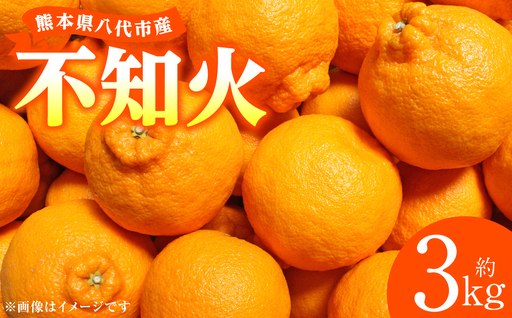 【先行予約】 不知火 約3kg しらぬい 柑橘  【2027年1月中旬より順次発送】