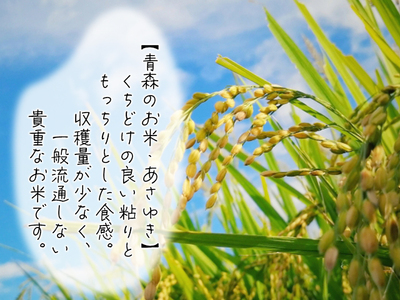新米 定期便 6ヶ月 令和7年産 あさゆき 白米 10kg  (5kg×2袋 ) 米 精米 こめ お米 おこめ コメ ご飯 ごはん 令和7年 H.GREENWORK 6回 半年 お楽しみ 青森 青森県