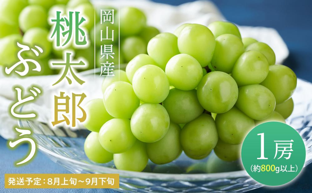 
ぶどう 2025年 先行予約 桃太郎 ぶどう 1房（1房800g以上） ブドウ 葡萄 岡山県産 国産 フルーツ 果物 ギフト

