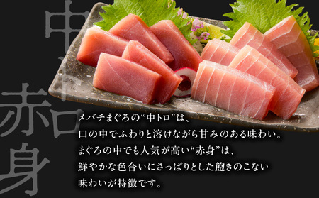 【 高島屋 バイヤー セレクション 】 三崎まぐろ お試し 詰合せ M038-001 鮪 まぐろ 目鉢まぐろ ふるさと納税 神奈川県 三浦市 おすすめ ランキング プレゼント ギフト