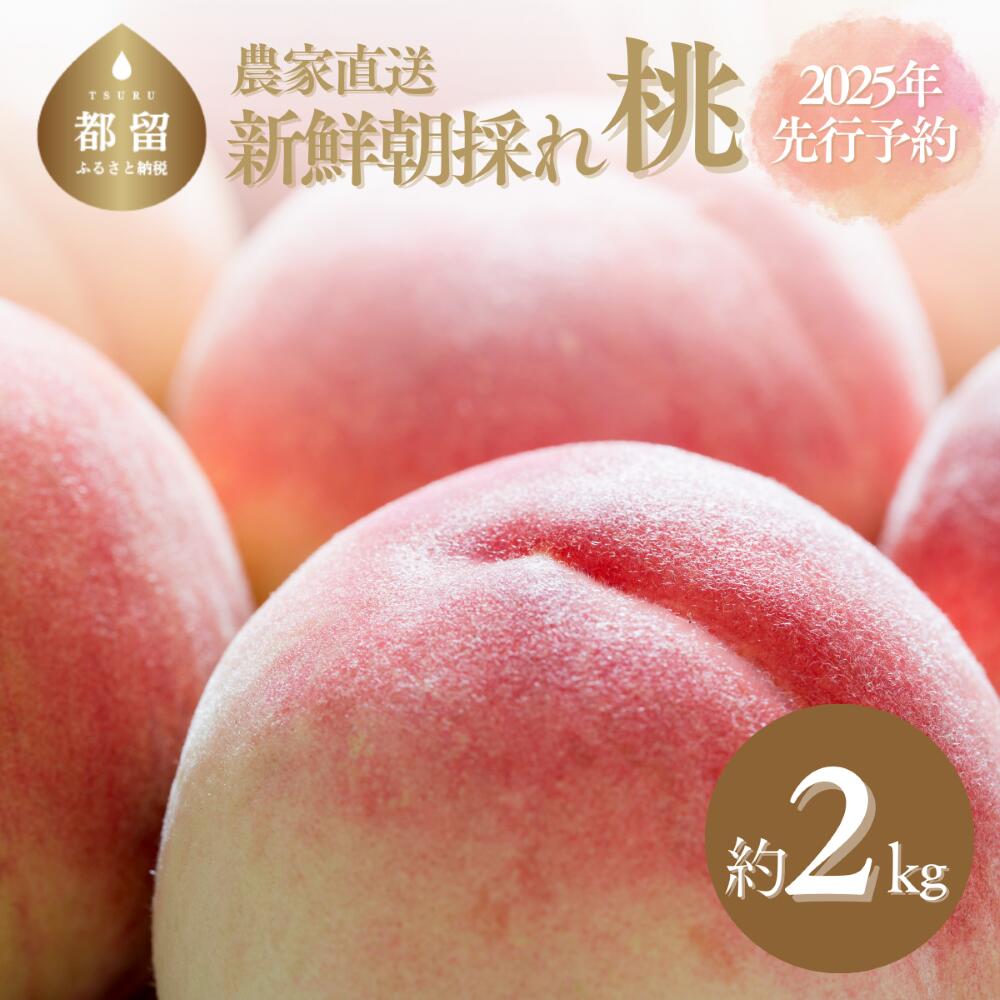 【ふるさと納税】山梨県産　桃約2kg（6～8玉）＜2025年　先行予約＞ 桃　もも　フルーツ　果物　くだもの 山梨 山梨県産 2025年発送