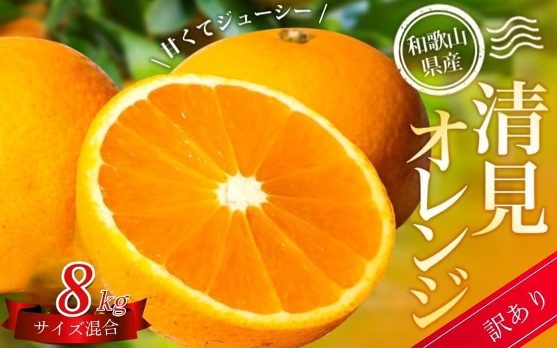 
            【訳あり】 森本農園の手選別 清見オレンジ 約8kg 和歌山県産 サイズ混合 【北海道・沖縄・離島配送不可】【2026年2月上旬～5月中旬頃に順次発送】【BV-mrmt049】
          