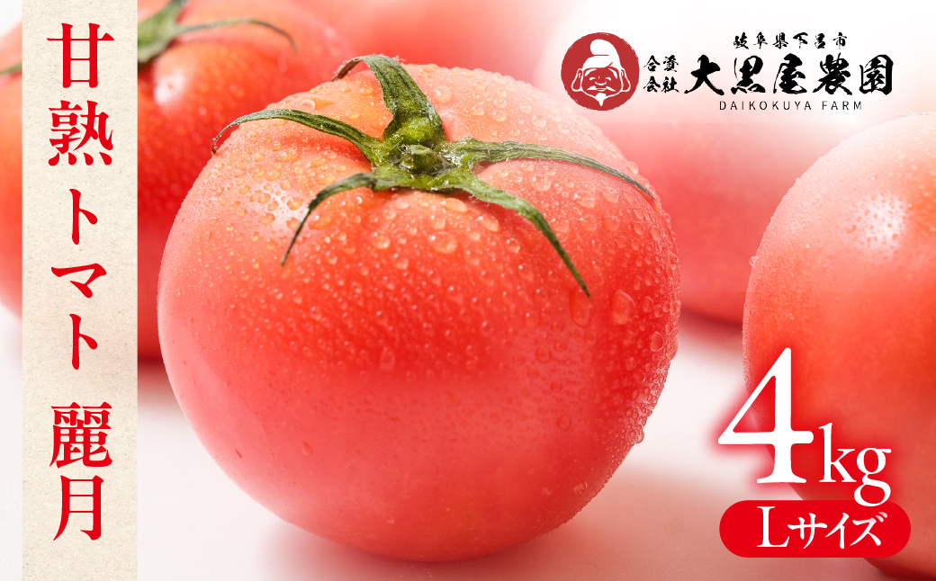 先行予約（2026年7月上旬頃から順次発送）大黒屋農園 甘塾トマト 麗月 Ｌサイズ 4kg レイゲツ とまと 下呂市 期間限定【大黒屋農園】【119-4】
