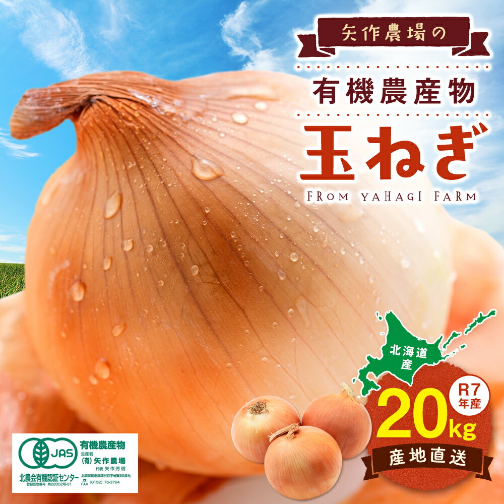 【ふるさと納税】令和7年産先行受付 有機農産物 玉ねぎ 20kg (有)矢作農場 | 玉ねぎ たまねぎ タマネギ 玉葱 大容量 オニオン 甘い 有機栽培 国産 産地直送 カレー ハンバーグ 煮込み 炒め物 北海道 津別町 送料無料