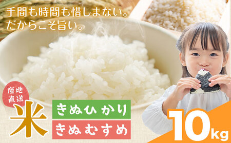米 こめ きぬひかり きぬむすめ 10kg 東菜穀農園 《9月下旬-3月末頃出荷》 米米米