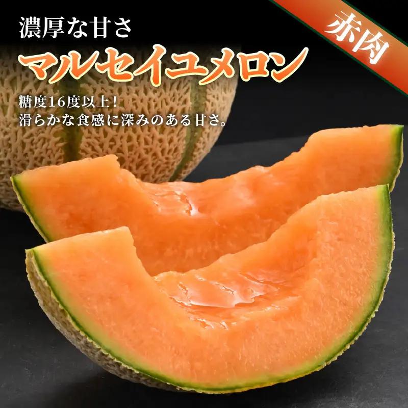 【先行予約】佐藤農園のマルセイユメロン 約5kg 秀品（3～5玉入）深みのある甘さ とろける濃厚な赤肉！農家直送 有機肥料 低農薬 ※2026年6月上旬より順次発送予定 [aw069-a003]