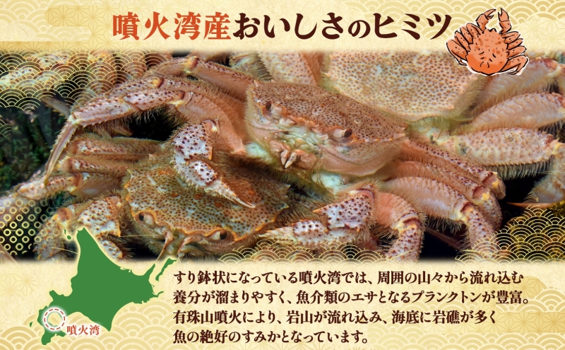 北海道 噴火湾産 活毛がに 2尾 （1尾300g～400g） 2025年6月下旬～7月中旬お届け 先行受付 北海道産 旬 新鮮 毛がに かに カニ 蟹 毛ガニ 毛蟹 カニ味噌 天然 噴火湾 産地直送 