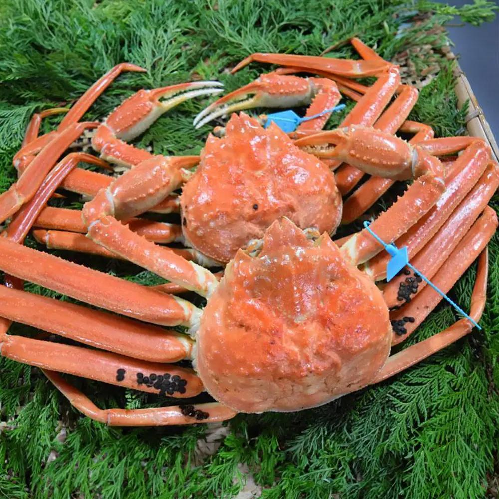 【予約受付】【訳あり】金沢港より直送！サイズおまかせボイル加能ガニ 2杯セット 蟹 かに