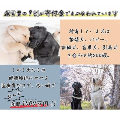ふるさと納税 亀岡市 盲導犬訓練 支援寄付[盲導犬協会オリジナルグッズ]エコバッグなど3点 |  | 01