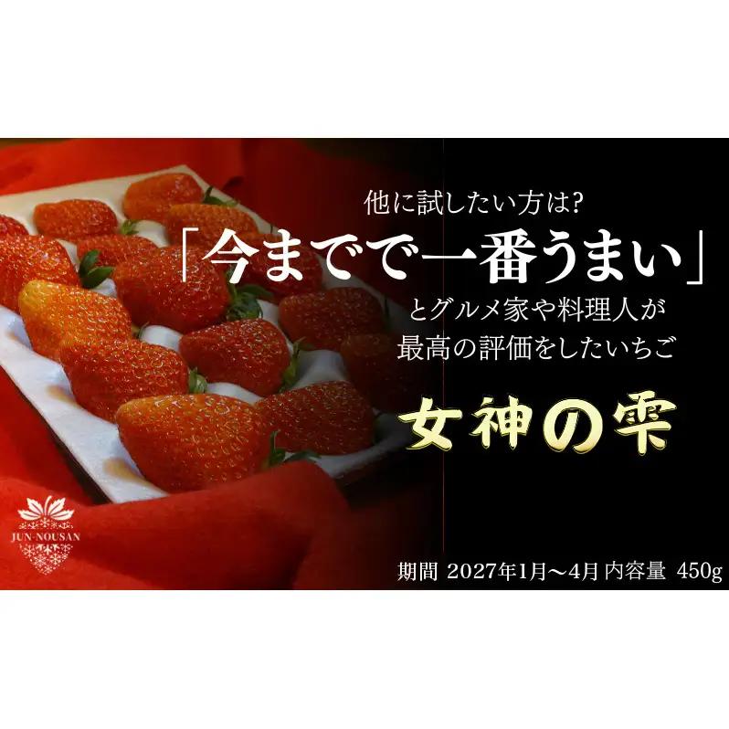 いちご 先行予約 女神の雫 450g 2027年 いちご