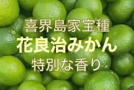 【喜界島特産】島のかおりギフト【花良治(けらじ)胡椒・花良治(けらじ)胡麻ラー油・みかスコ・きびスコ】