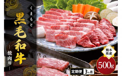 
【3ヶ月定期便】熊本県産 くまもと黒毛和牛 焼肉用 500g
