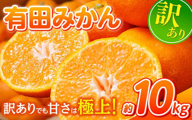 【訳あり】農家直送 有田みかん 約10kg ご家庭用 サイズ混合 ※2025年11月中旬より順次発送予定（お届け日指定不可）※北海道・沖縄・離島への配送不可 訳ありみかん みかん ミカン 蜜柑 柑橘 フルーツ 果物 くだもの 温州みかんサイズ混合 訳ありみかん 温州みかん 有機質肥料100% ふるさと納税 柑橘 有田 産地直送【nuk138F】