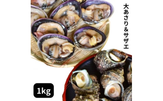 海鮮バーベキューセット 1kg(大アサリ500g＋サザエ500g) 大アサリ専用だし醤油付き あさり アサリ 浅利 サザエ さざえ 栄螺 海鮮 バーベキュー BBQ あさり アサリ 浅利 サザエ さざえ 栄螺 海鮮 バーベキュー BBQ あさり アサリ 浅利 サザエ さざえ 栄螺 海鮮 バーベキュー BBQ あさり アサリ 浅利 サザエ さざえ 栄螺 海鮮 バーベキュー BBQ 愛知県 南知多町